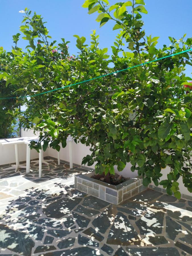 Apartament Korasida Blue Coast Akhladherí Zewnętrze zdjęcie