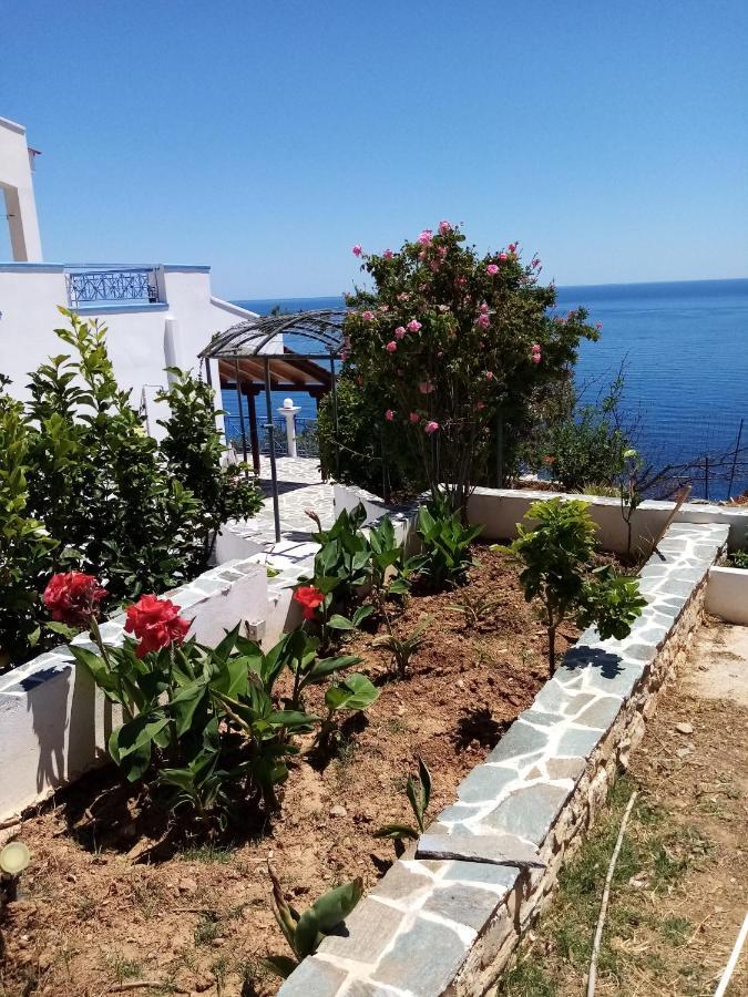 Apartament Korasida Blue Coast Akhladherí Zewnętrze zdjęcie